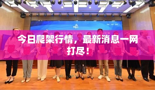 今日爬架行情，最新消息一網(wǎng)打盡！