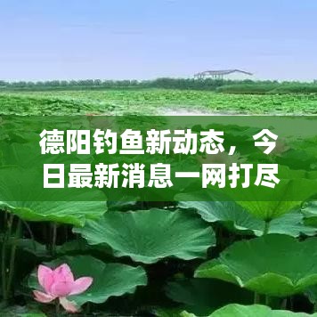 德陽釣魚新動態(tài)，今日最新消息一網(wǎng)打盡！