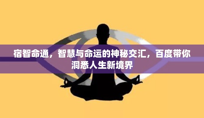 宿智命通，智慧與命運的神秘交匯，百度帶你洞悉人生新境界