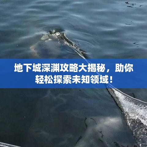 地下城深淵攻略大揭秘，助你輕松探索未知領(lǐng)域！