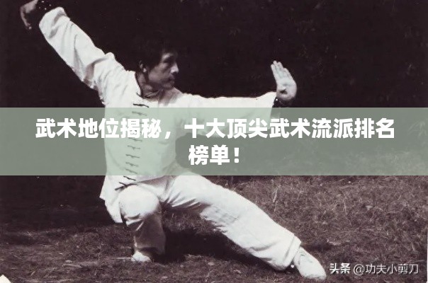 武術(shù)地位揭秘，十大頂尖武術(shù)流派排名榜單！