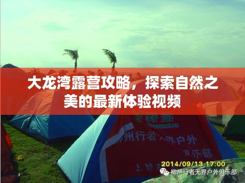 大龍灣露營攻略，探索自然之美的最新體驗視頻