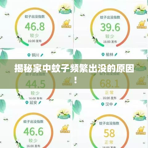 揭秘家中蚊子頻繁出沒的原因！