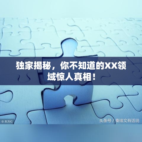 獨(dú)家揭秘，你不知道的XX領(lǐng)域驚人真相！