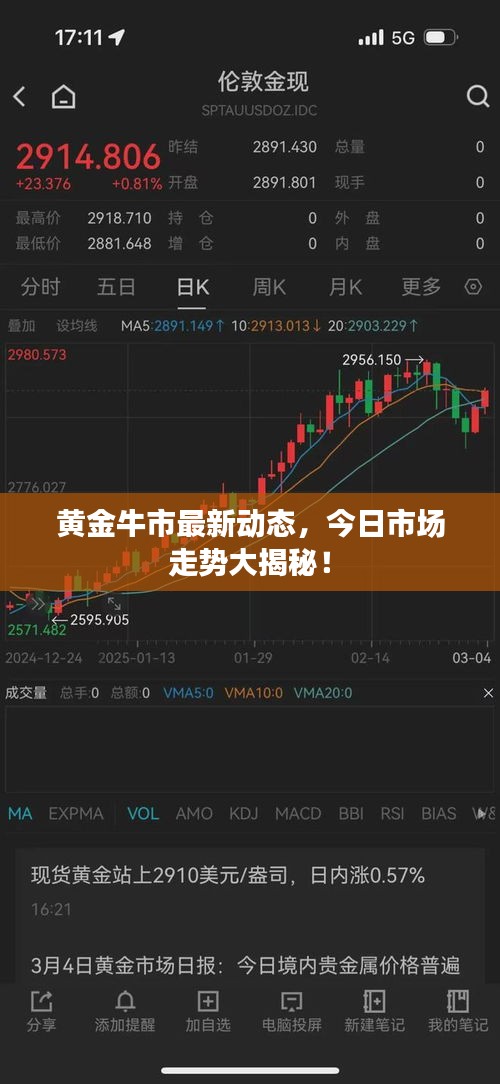 黃金牛市最新動態(tài)，今日市場走勢大揭秘！