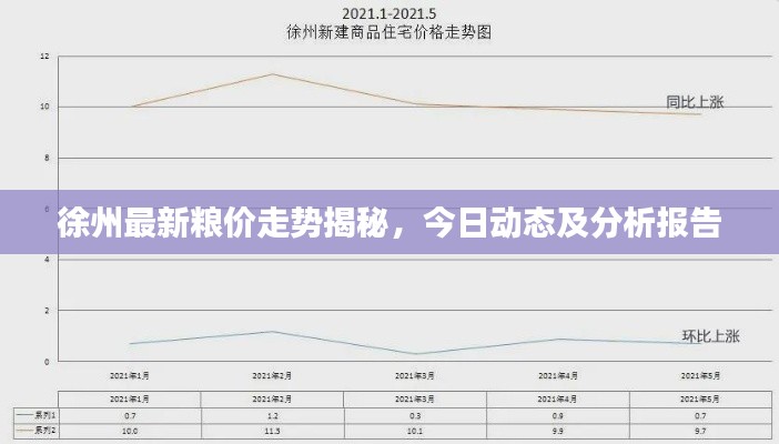 徐州最新糧價(jià)走勢揭秘，今日動(dòng)態(tài)及分析報(bào)告