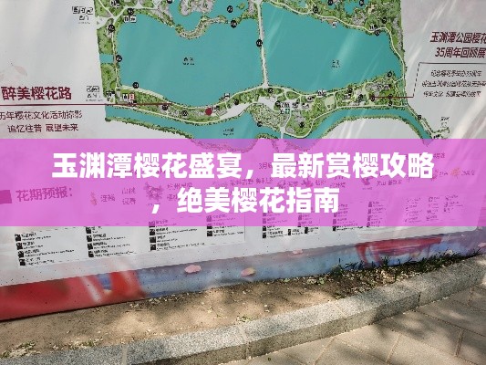 玉淵潭櫻花盛宴，最新賞櫻攻略，絕美櫻花指南
