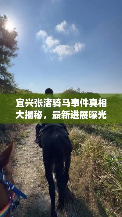 宜興張渚騎馬事件真相大揭秘，最新進展曝光