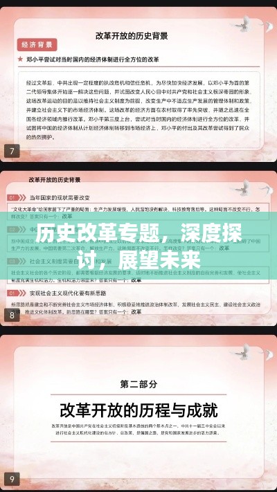 歷史改革專題，深度探討，展望未來