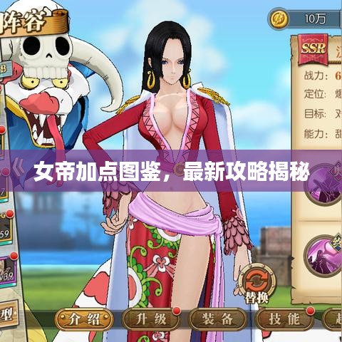 女帝加點圖鑒，最新攻略揭秘