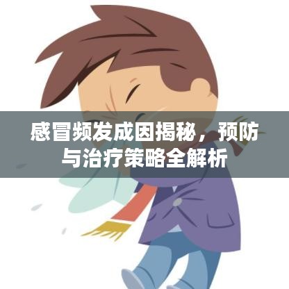 感冒頻發(fā)成因揭秘，預(yù)防與治療策略全解析