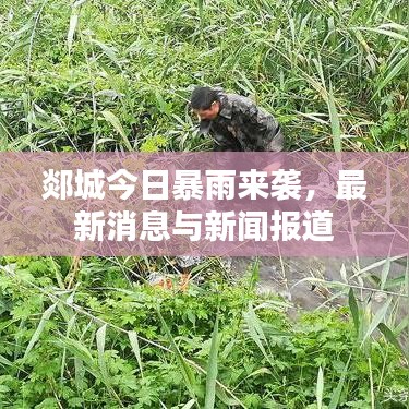 郯城今日暴雨來襲，最新消息與新聞報(bào)道