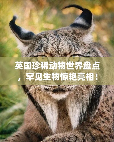 英國珍稀動物世界盤點，罕見生物驚艷亮相！