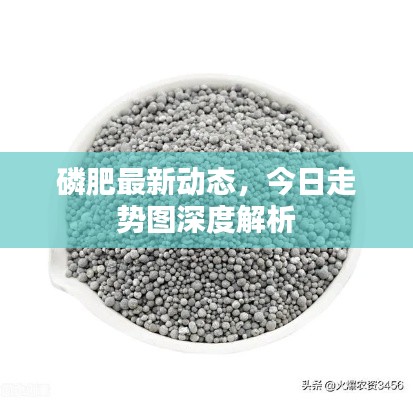 磷肥最新動(dòng)態(tài)，今日走勢(shì)圖深度解析