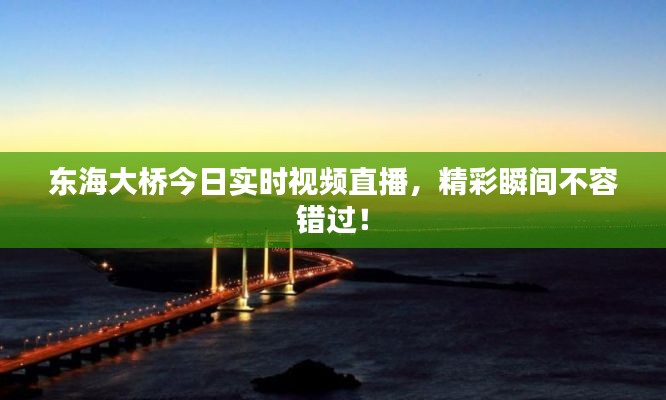 東海大橋今日實(shí)時視頻直播，精彩瞬間不容錯過！