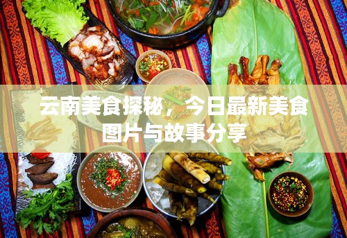 云南美食探秘，今日最新美食圖片與故事分享