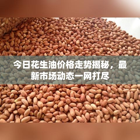 今日花生油價(jià)格走勢揭秘，最新市場動(dòng)態(tài)一網(wǎng)打盡