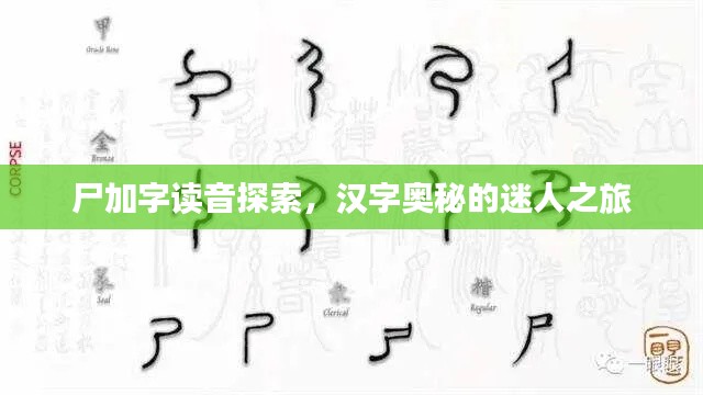 尸加字讀音探索，漢字奧秘的迷人之旅