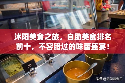 沭陽美食之旅，自助美食排名前十，不容錯過的味蕾盛宴！