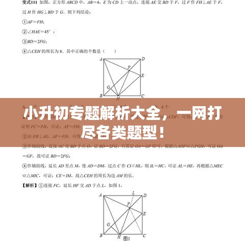 小升初專題解析大全，一網(wǎng)打盡各類題型！