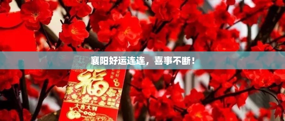 襄陽好運連連，喜事不斷！