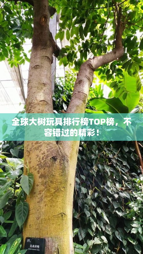 全球大樹玩具排行榜TOP榜，不容錯過的精彩！
