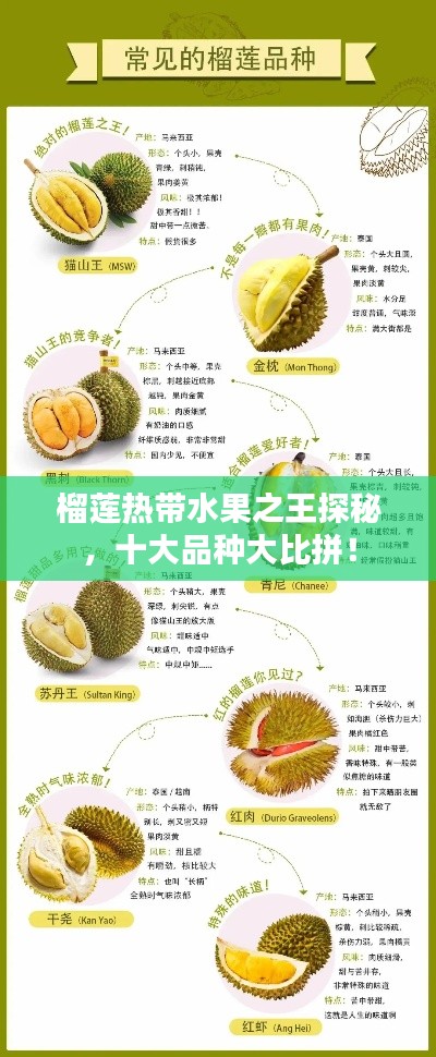 榴蓮熱帶水果之王探秘，十大品種大比拼！