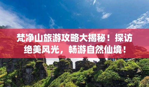 梵凈山旅游攻略大揭秘！探訪絕美風(fēng)光，暢游自然仙境！