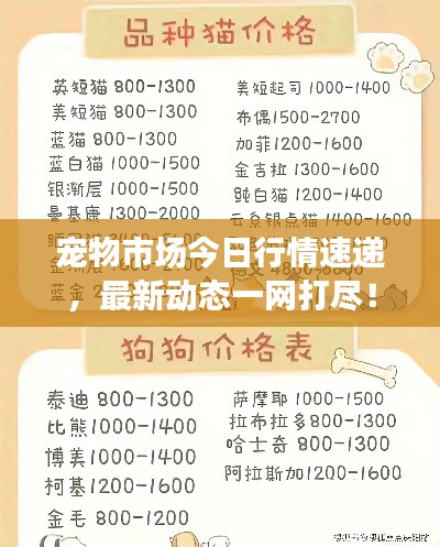 寵物市場(chǎng)今日行情速遞，最新動(dòng)態(tài)一網(wǎng)打盡！