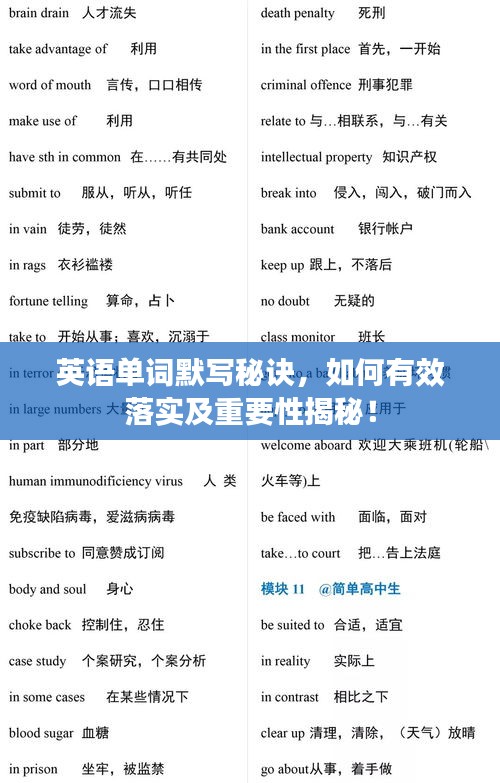 英語單詞默寫秘訣，如何有效落實(shí)及重要性揭秘！