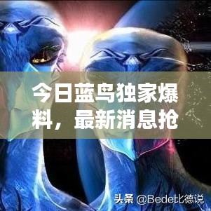 今日藍鳥獨家爆料，最新消息搶先看！
