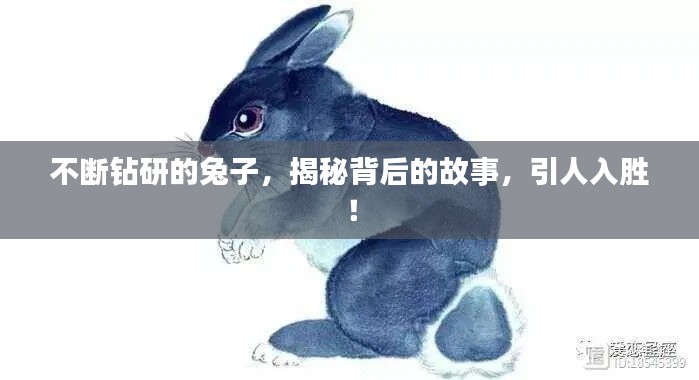 不斷鉆研的兔子，揭秘背后的故事，引人入勝！