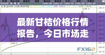最新甘桔價(jià)格行情報(bào)告，今日市場走勢一網(wǎng)打盡！