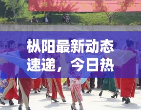 樅陽最新動態(tài)速遞，今日熱點消息一網(wǎng)打盡