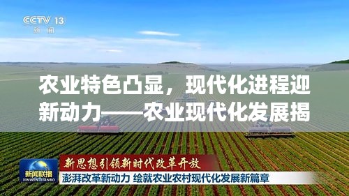 農(nóng)業(yè)特色凸顯，現(xiàn)代化進(jìn)程迎新動(dòng)力——農(nóng)業(yè)現(xiàn)代化發(fā)展揭秘！