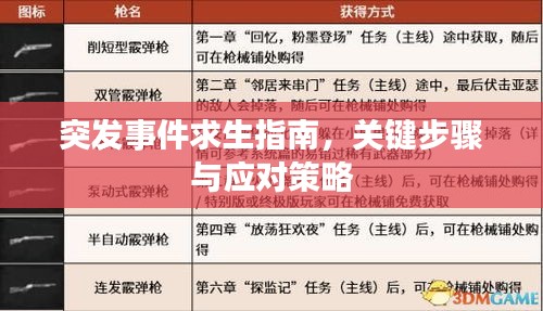 突發(fā)事件求生指南，關(guān)鍵步驟與應(yīng)對策略