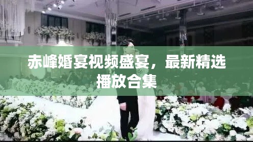 赤峰婚宴視頻盛宴，最新精選播放合集