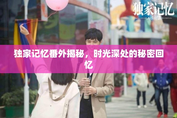 獨(dú)家記憶番外揭秘，時(shí)光深處的秘密回憶