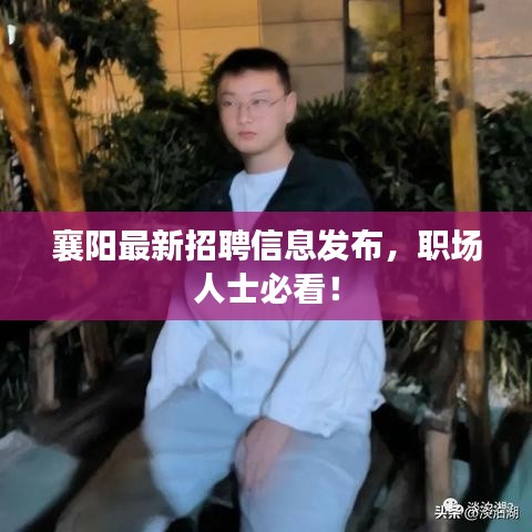 襄陽最新招聘信息發(fā)布，職場人士必看！
