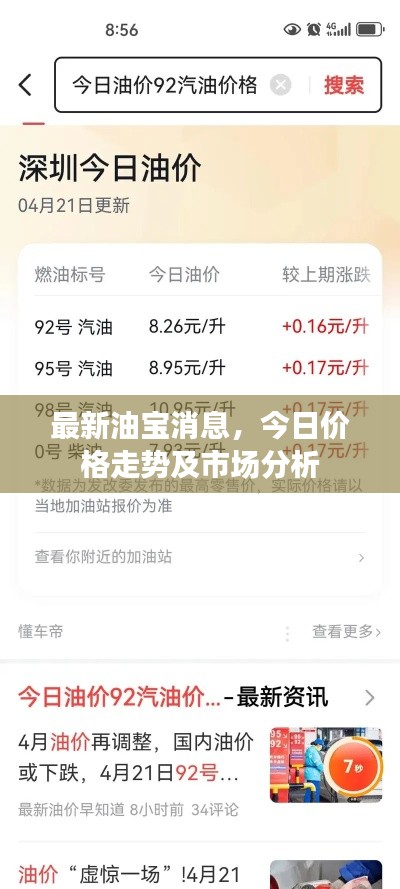 最新油寶消息，今日價格走勢及市場分析