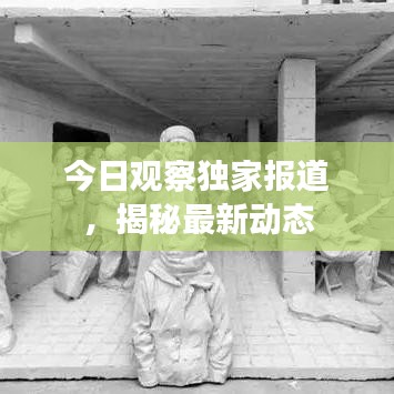 今日觀察獨(dú)家報(bào)道，揭秘最新動(dòng)態(tài)