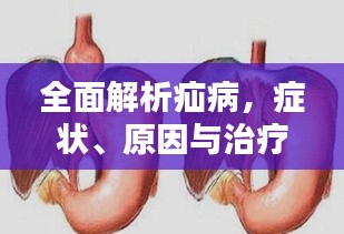 全面解析疝病，癥狀、原因與治療策略專題探討