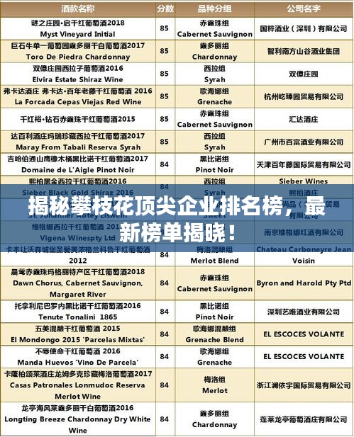 揭秘攀枝花頂尖企業(yè)排名榜，最新榜單揭曉！