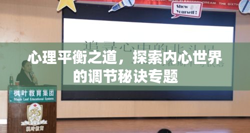 心理平衡之道，探索內(nèi)心世界的調(diào)節(jié)秘訣專題