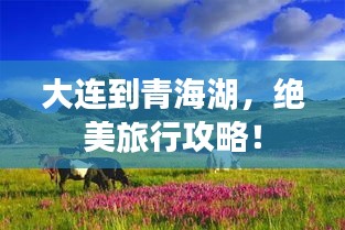 大連到青海湖，絕美旅行攻略！