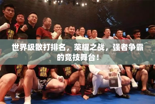 世界級(jí)散打排名，榮耀之戰(zhàn)，強(qiáng)者爭(zhēng)霸的競(jìng)技舞臺(tái)！