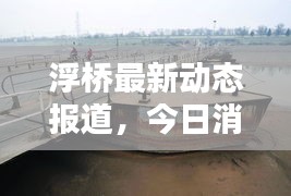 浮橋最新動態(tài)報道，今日消息更新速遞