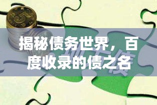 揭秘債務(wù)世界，百度收錄的債之名詞解釋