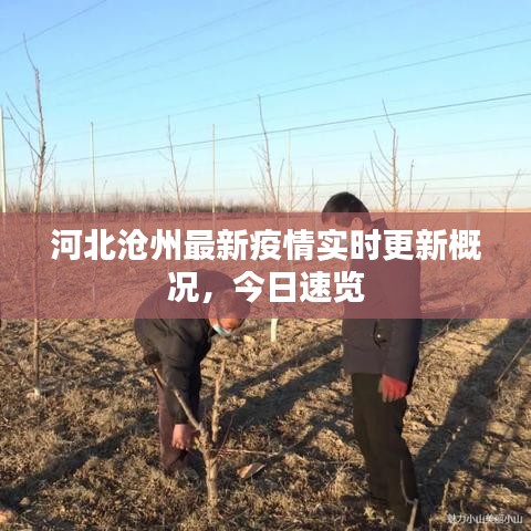 河北滄州最新疫情實(shí)時(shí)更新概況，今日速覽