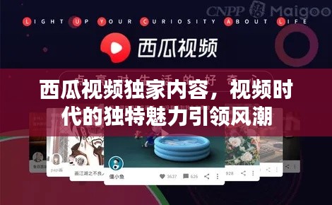 西瓜視頻獨家內(nèi)容，視頻時代的獨特魅力引領(lǐng)風(fēng)潮